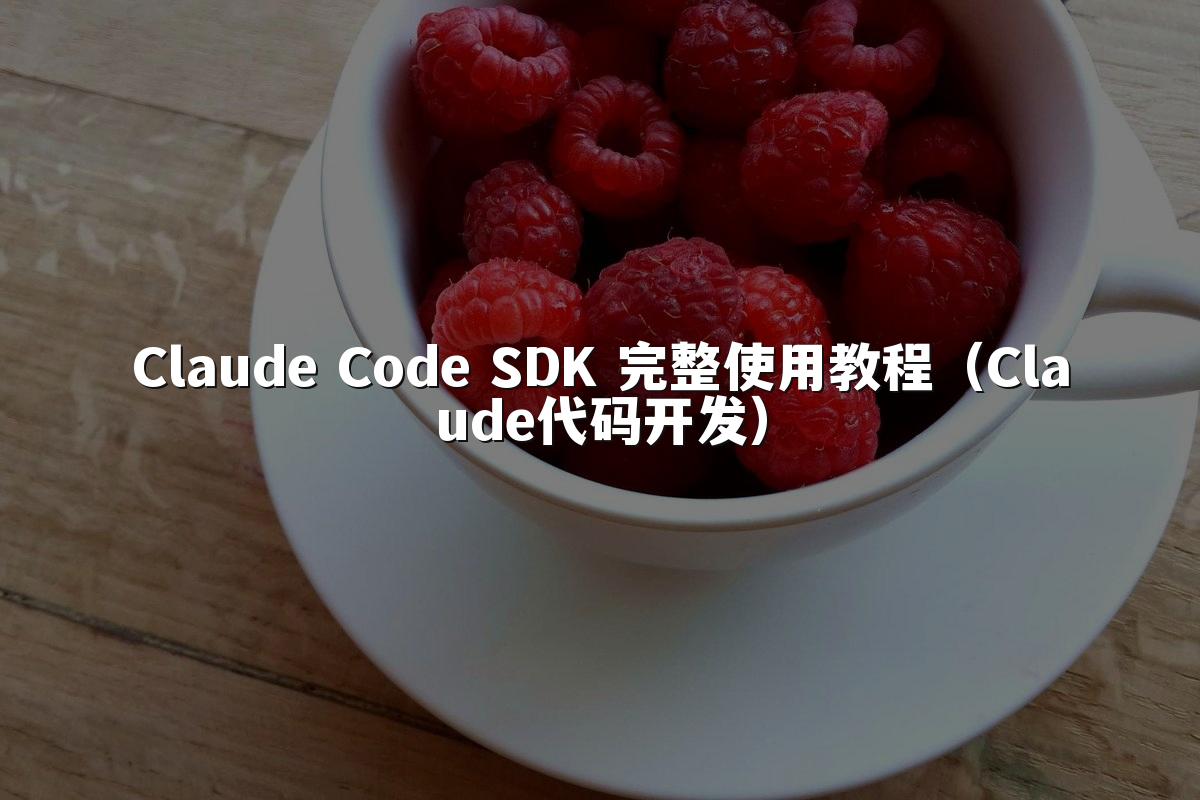 Claude Code SDK 完整使用教程（Claude代码开发）