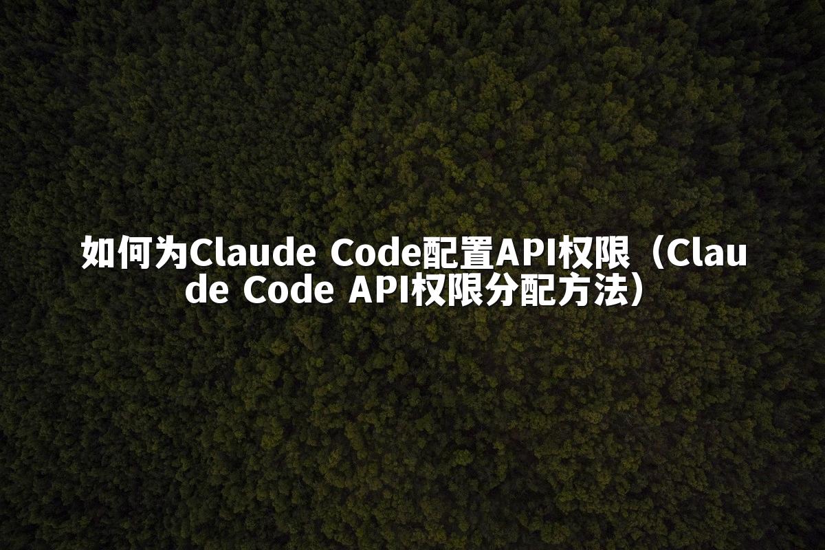 如何为Claude Code配置API权限（Claude Code API权限分配方法）