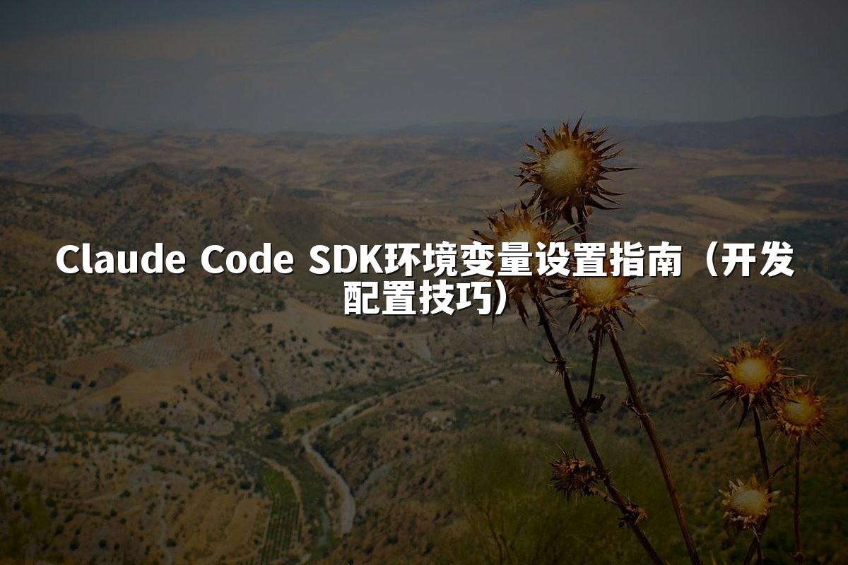 Claude Code SDK环境变量设置指南（开发配置技巧）