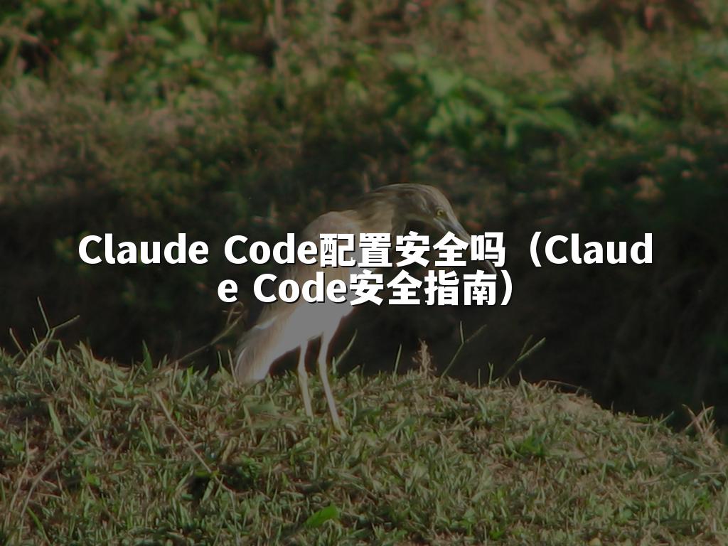 Claude Code配置安全吗（Claude Code安全指南）