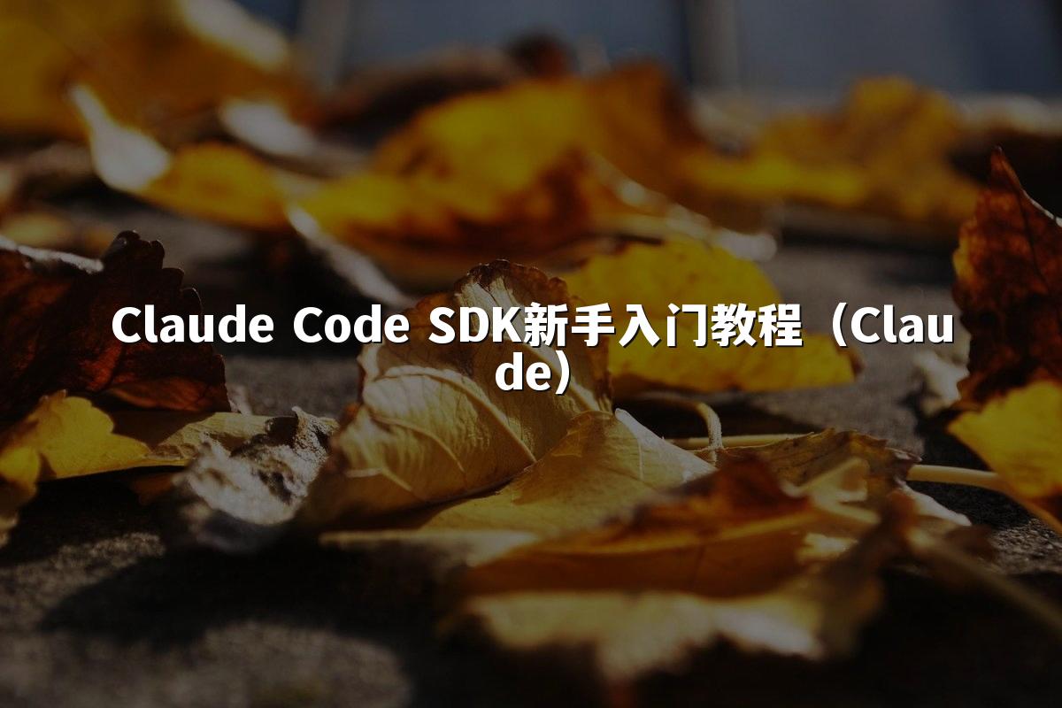 Claude Code SDK新手入门教程（Claude）