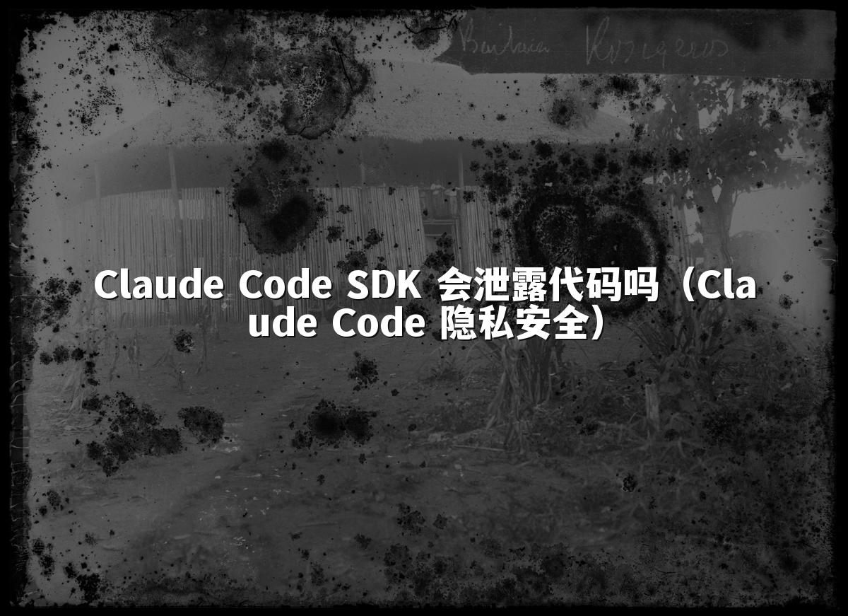 Claude Code SDK 会泄露代码吗（Claude Code 隐私安全）