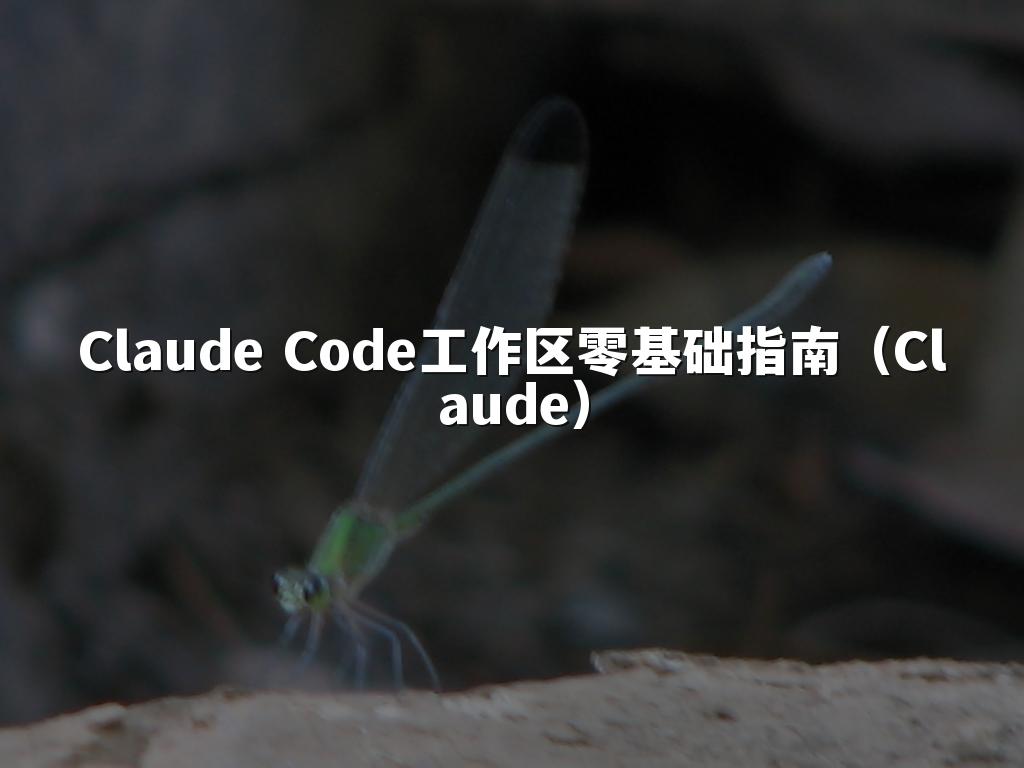 Claude Code工作区零基础指南（Claude）