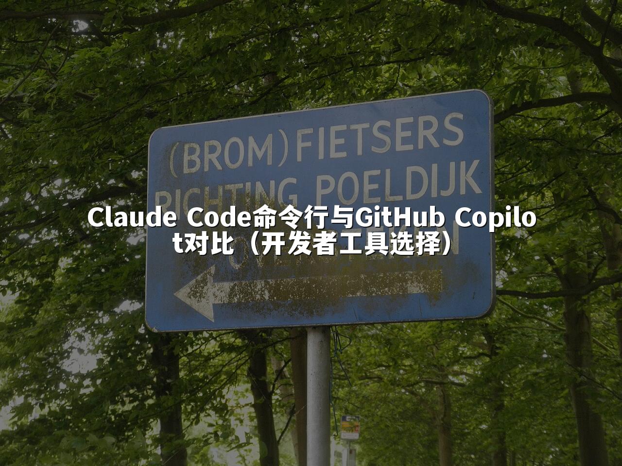 Claude Code命令行与GitHub Copilot对比（开发者工具选择）