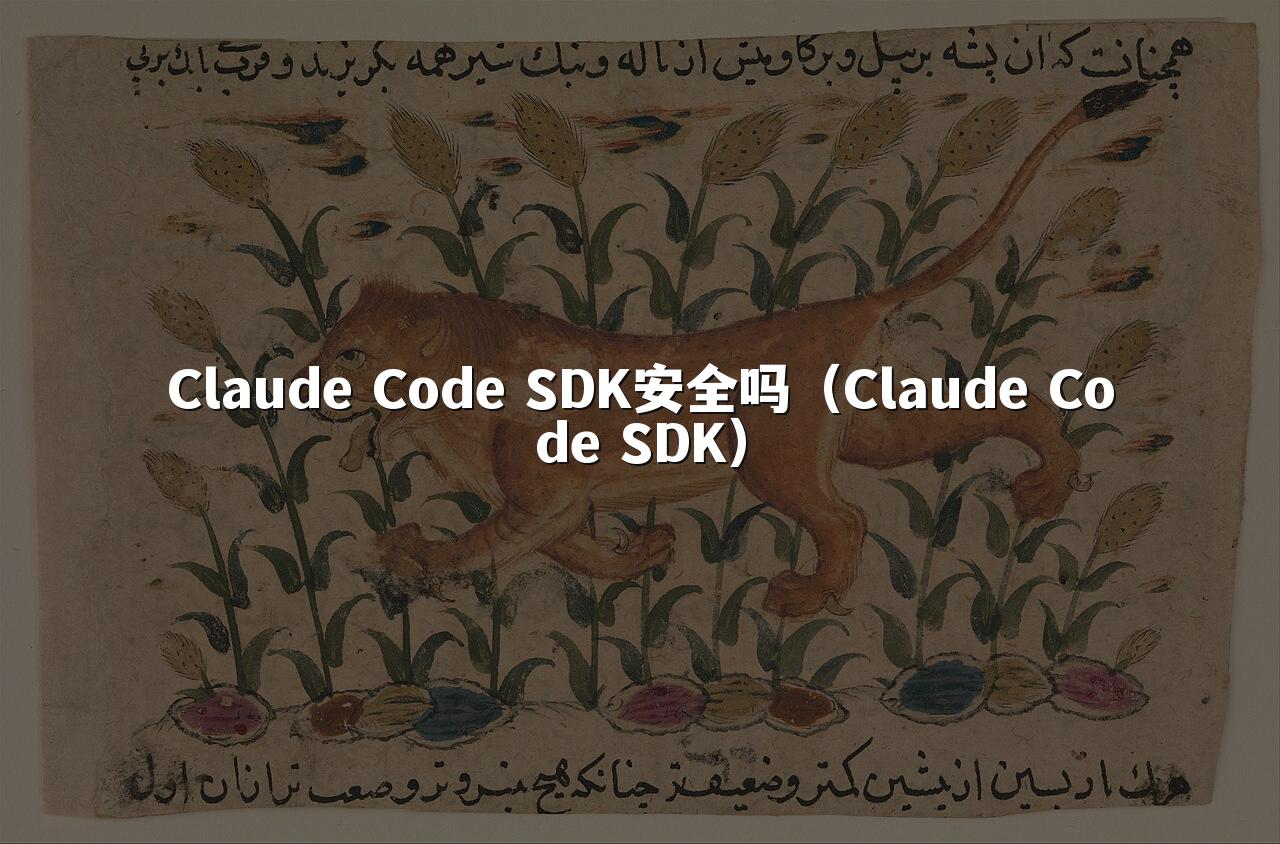 Claude Code SDK安全吗（Claude Code SDK）