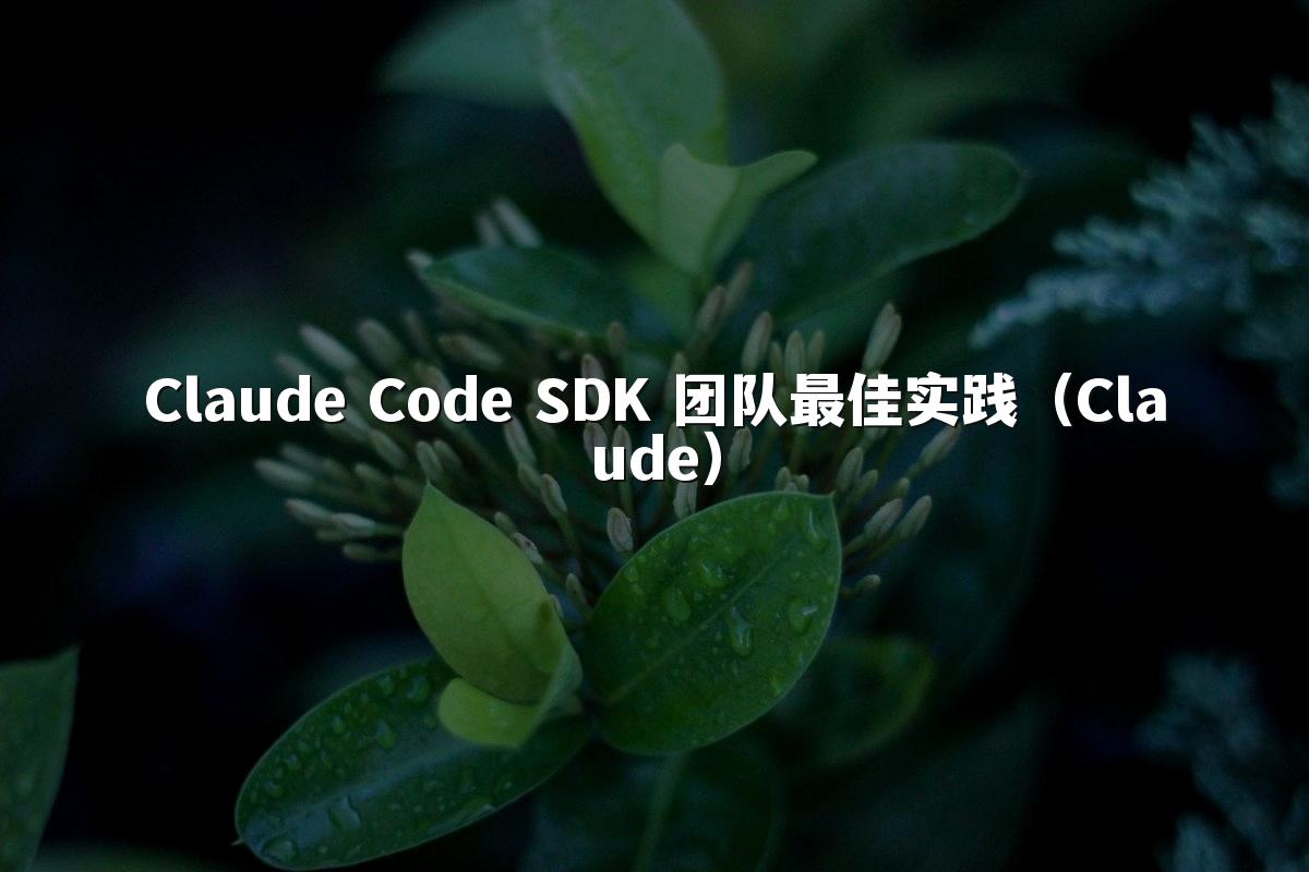Claude Code SDK 团队最佳实践（Claude）
