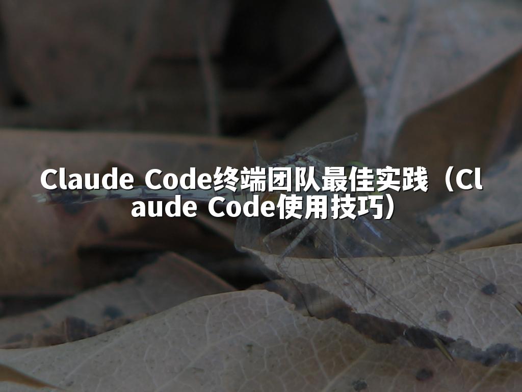 Claude Code终端团队最佳实践（Claude Code使用技巧）