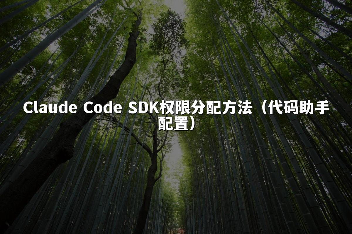 Claude Code SDK权限分配方法(代码助手配置)