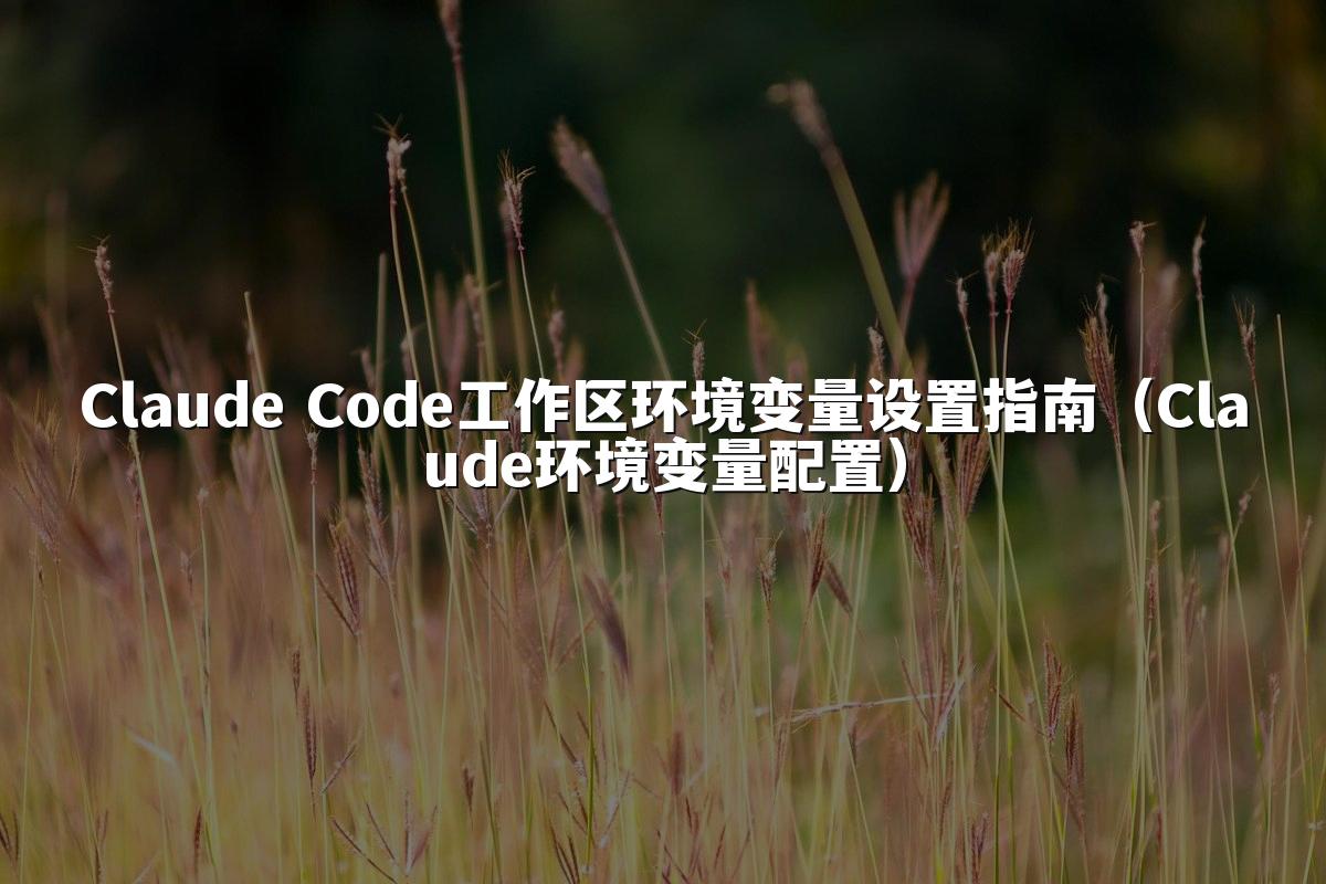 Claude Code工作区环境变量设置指南（Claude环境变量配置）