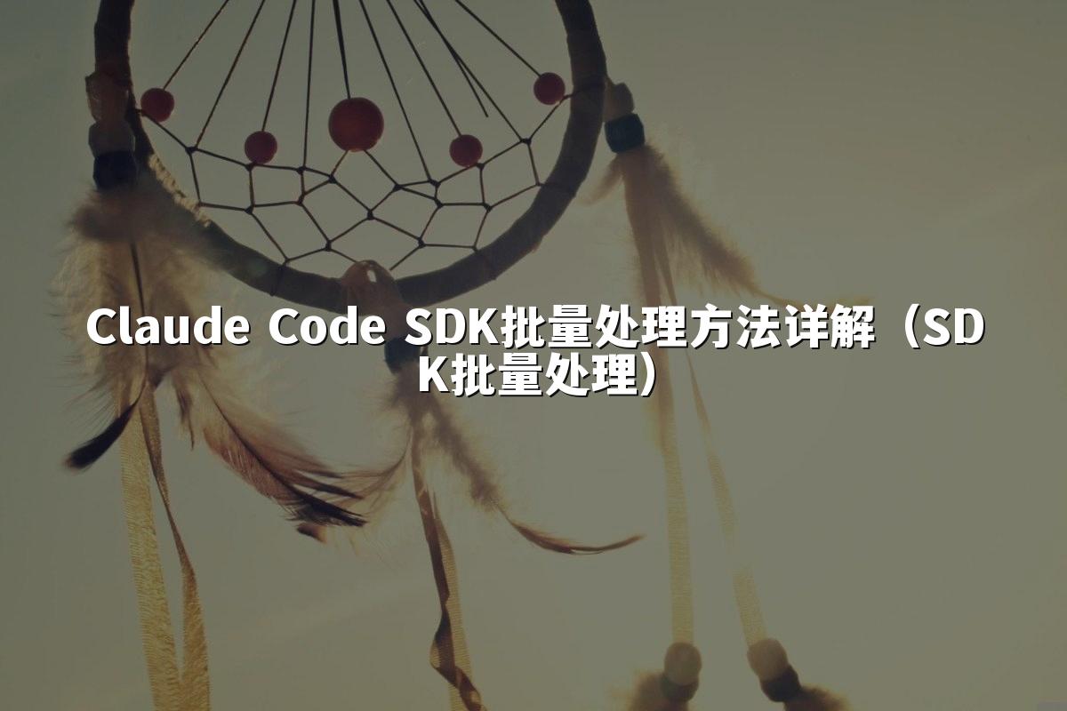 Claude Code SDK批量处理方法详解（SDK批量处理）