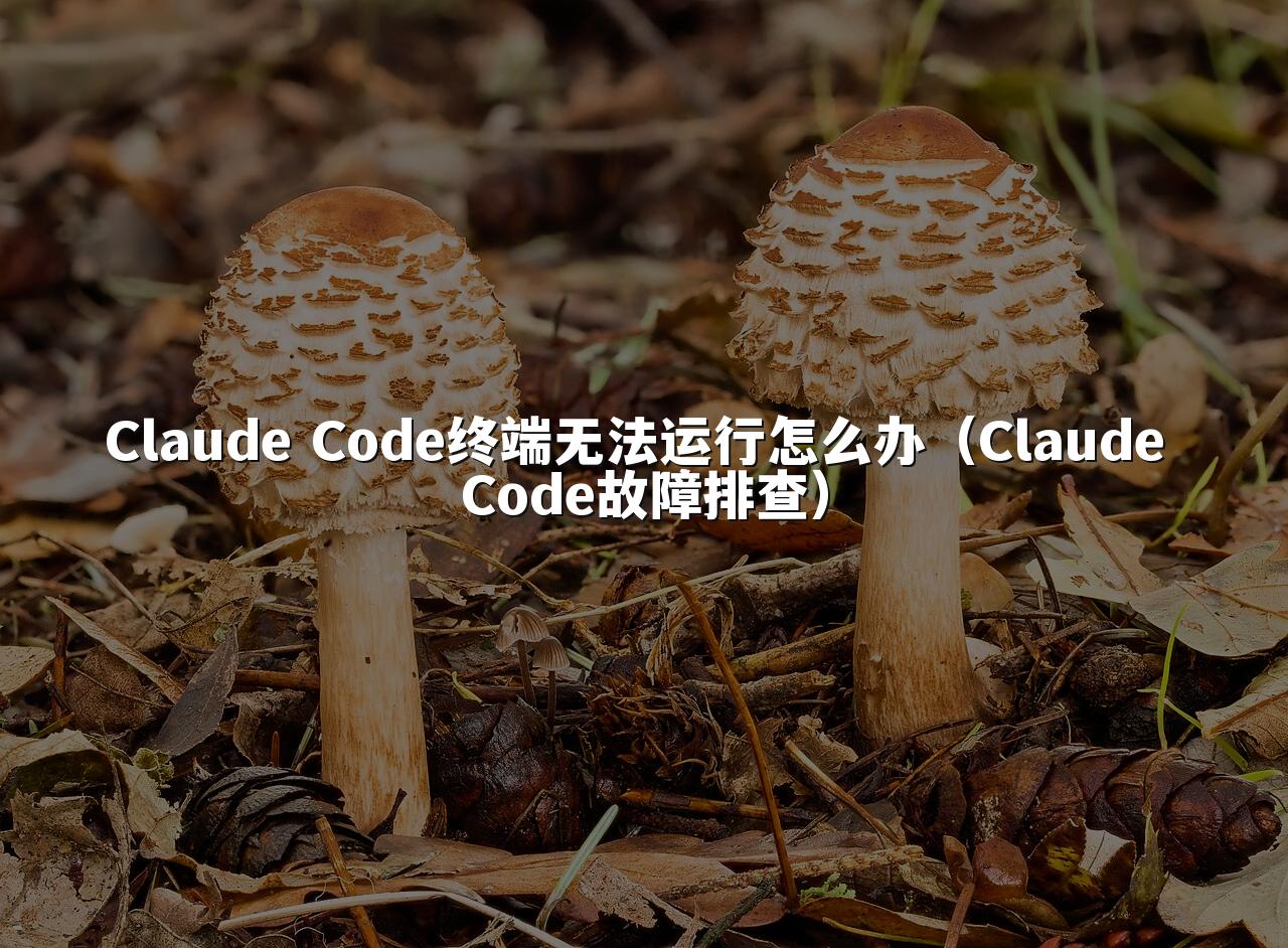 Claude Code终端无法运行怎么办（Claude Code故障排查）