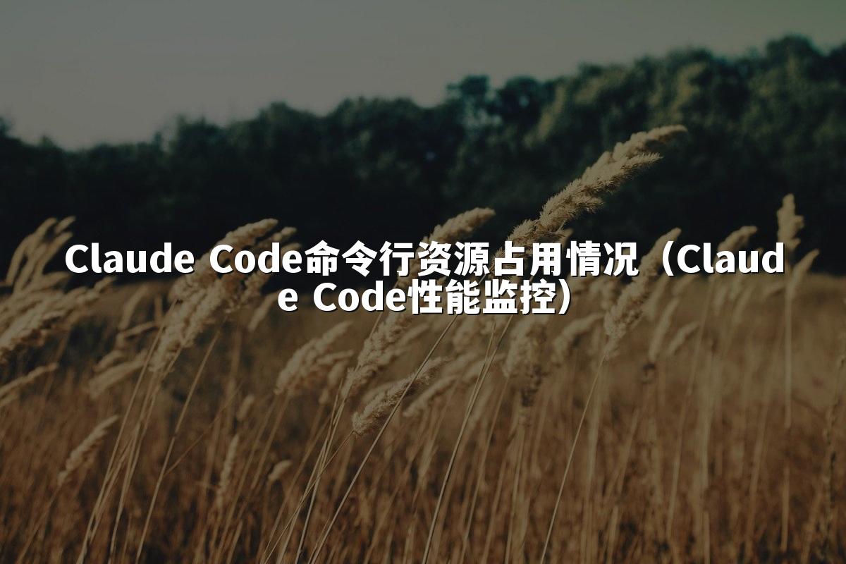 Claude Code命令行资源占用情况（Claude Code性能监控）