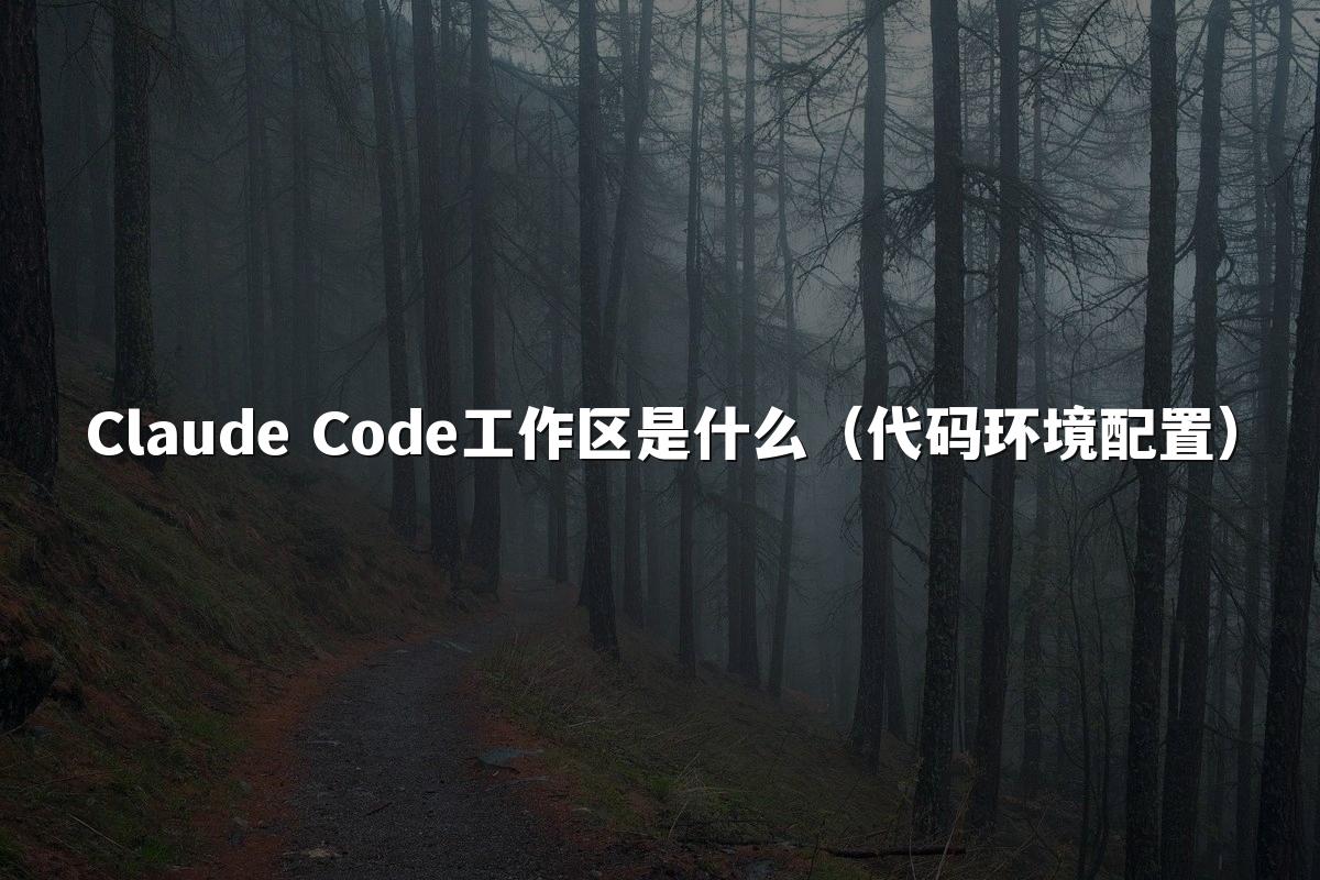 Claude Code工作区是什么(代码环境配置)