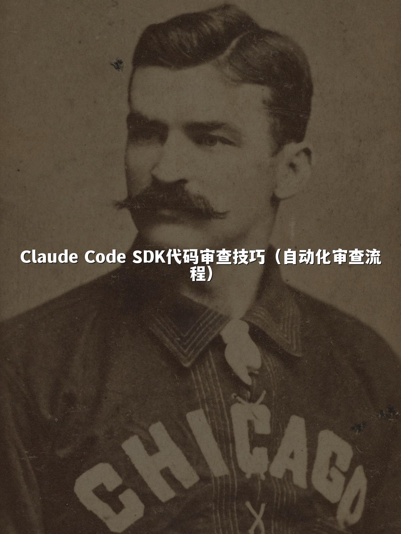 Claude Code SDK代码审查技巧（自动化审查流程）