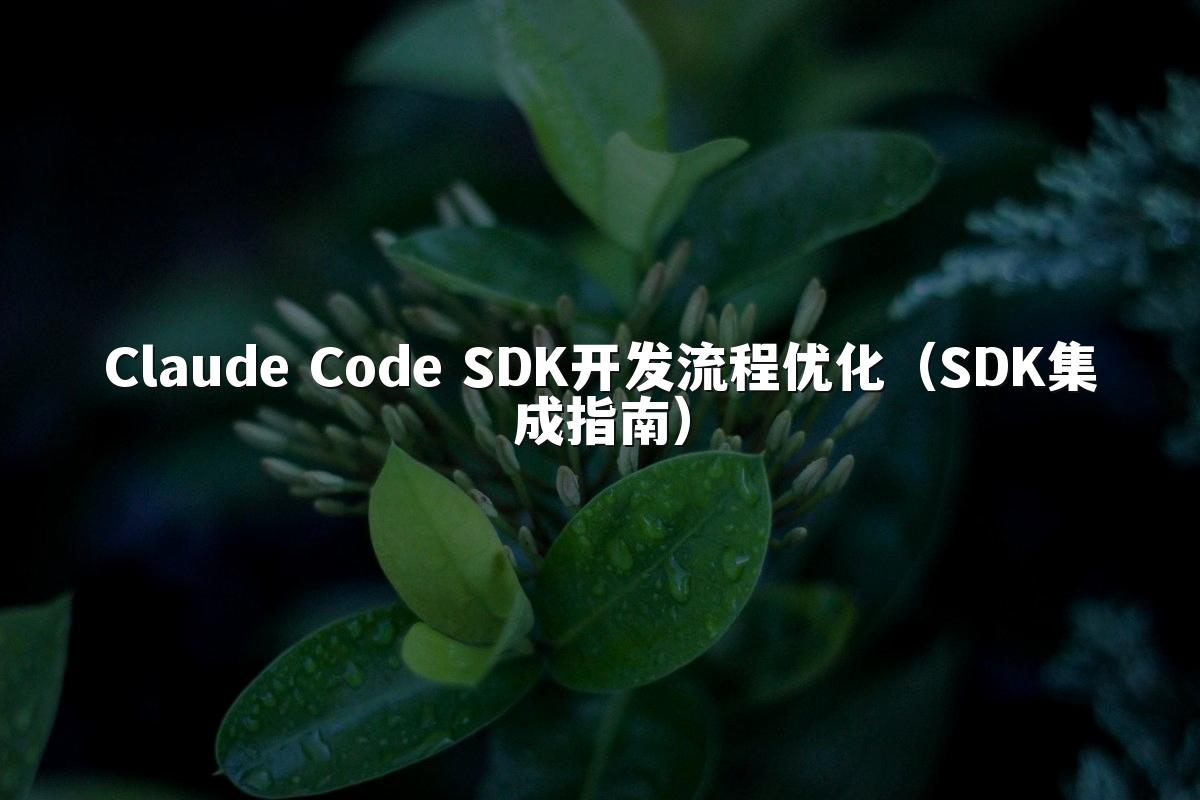 Claude Code SDK开发流程优化（SDK集成指南）