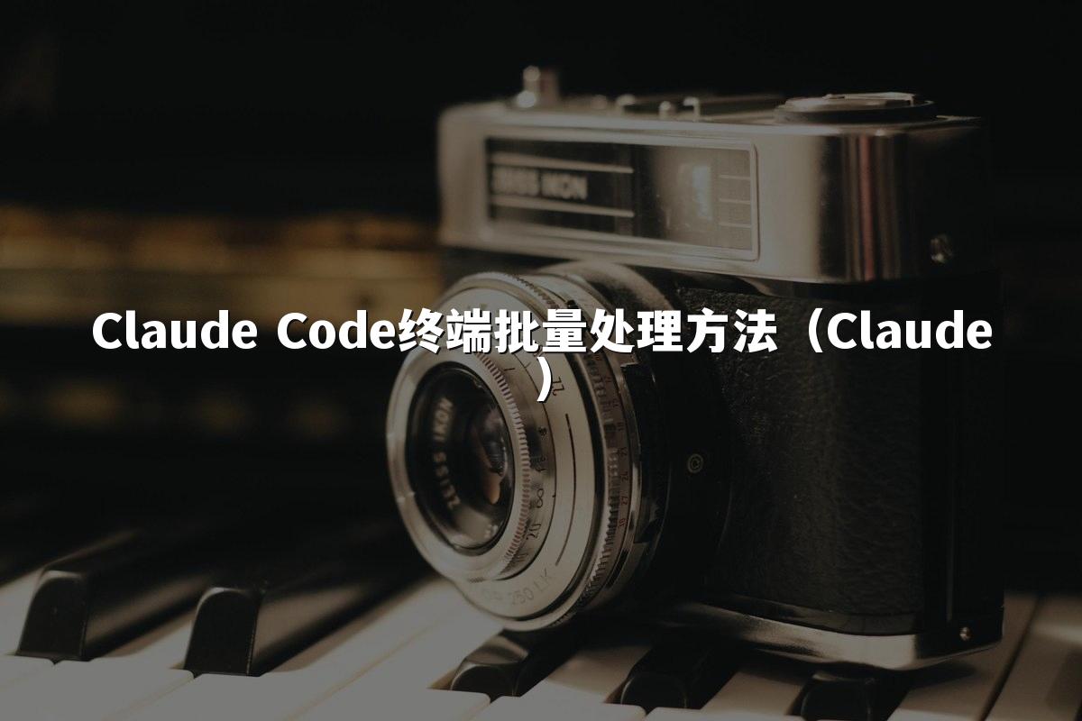 Claude Code终端批量处理方法（Claude）