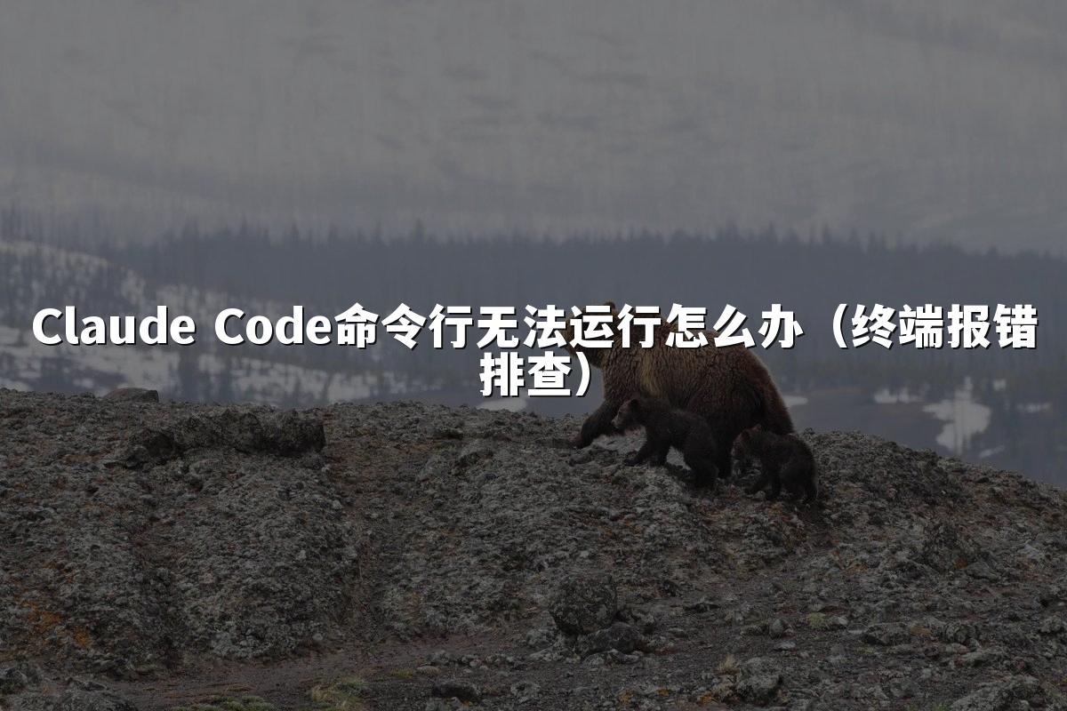 Claude Code命令行无法运行怎么办（终端报错排查）
