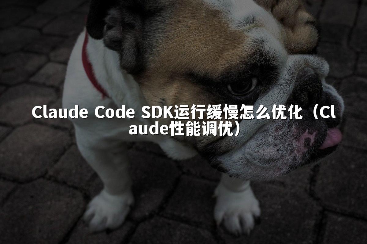Claude Code SDK运行缓慢怎么优化（Claude性能调优）