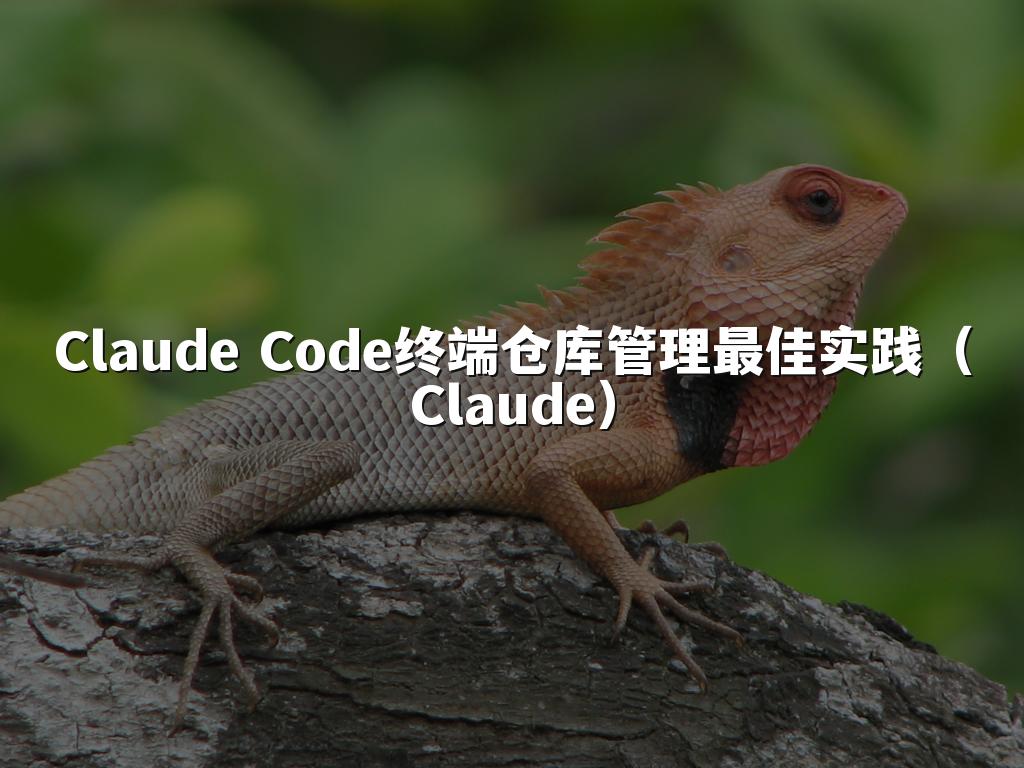 Claude Code终端仓库管理最佳实践（Claude）