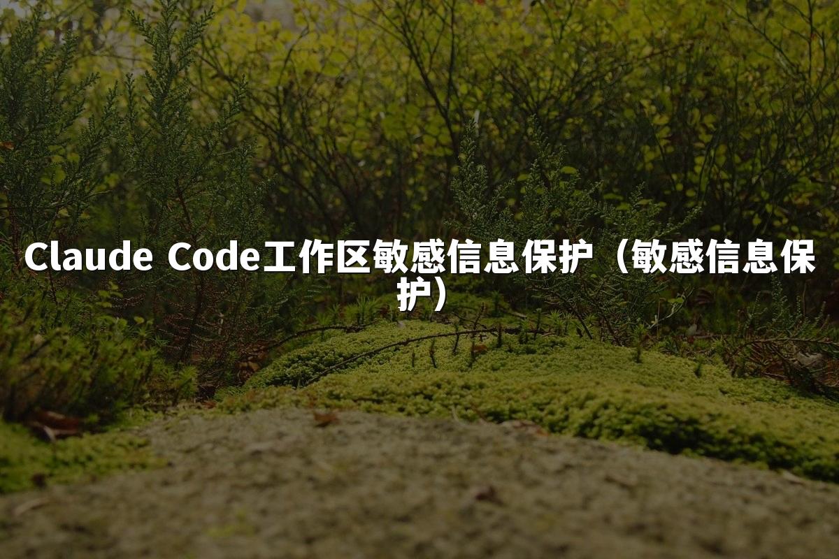 Claude Code工作区敏感信息保护（敏感信息保护）