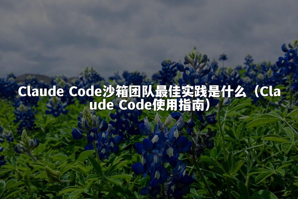 Claude Code沙箱团队最佳实践是什么（Claude Code使用指南）