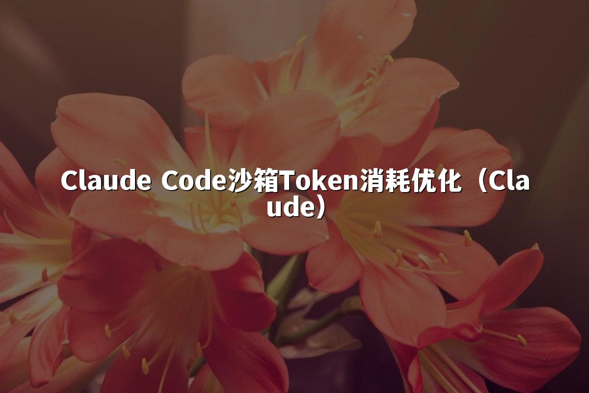 Claude Code沙箱Token消耗优化(Claude)