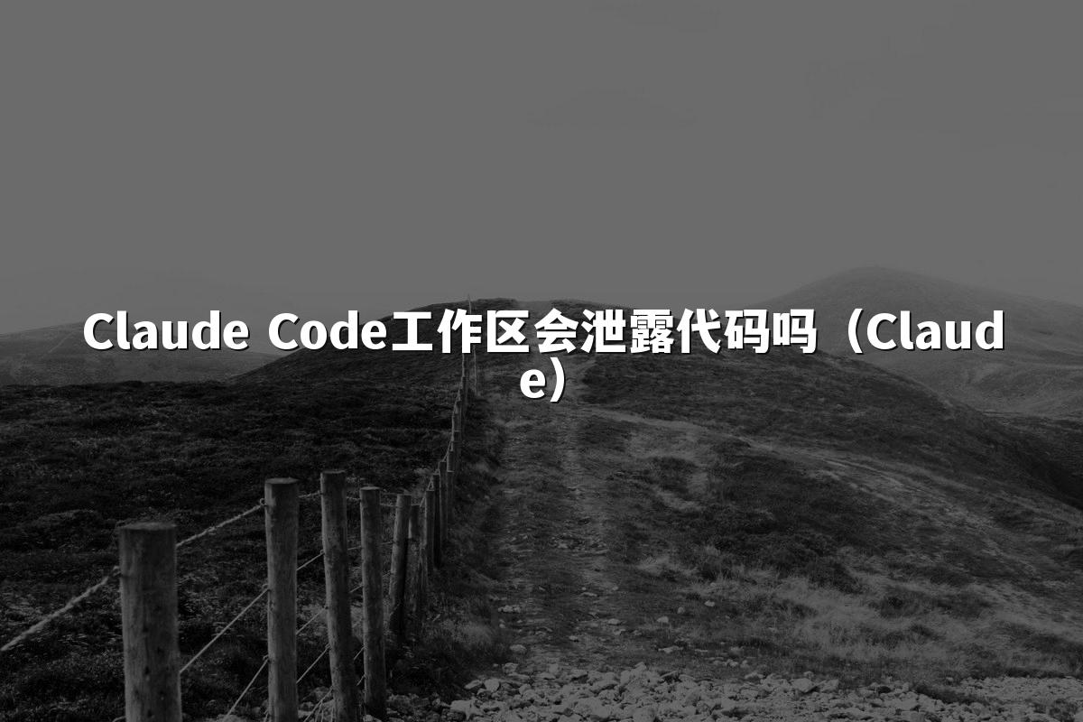 Claude Code工作区会泄露代码吗（Claude）