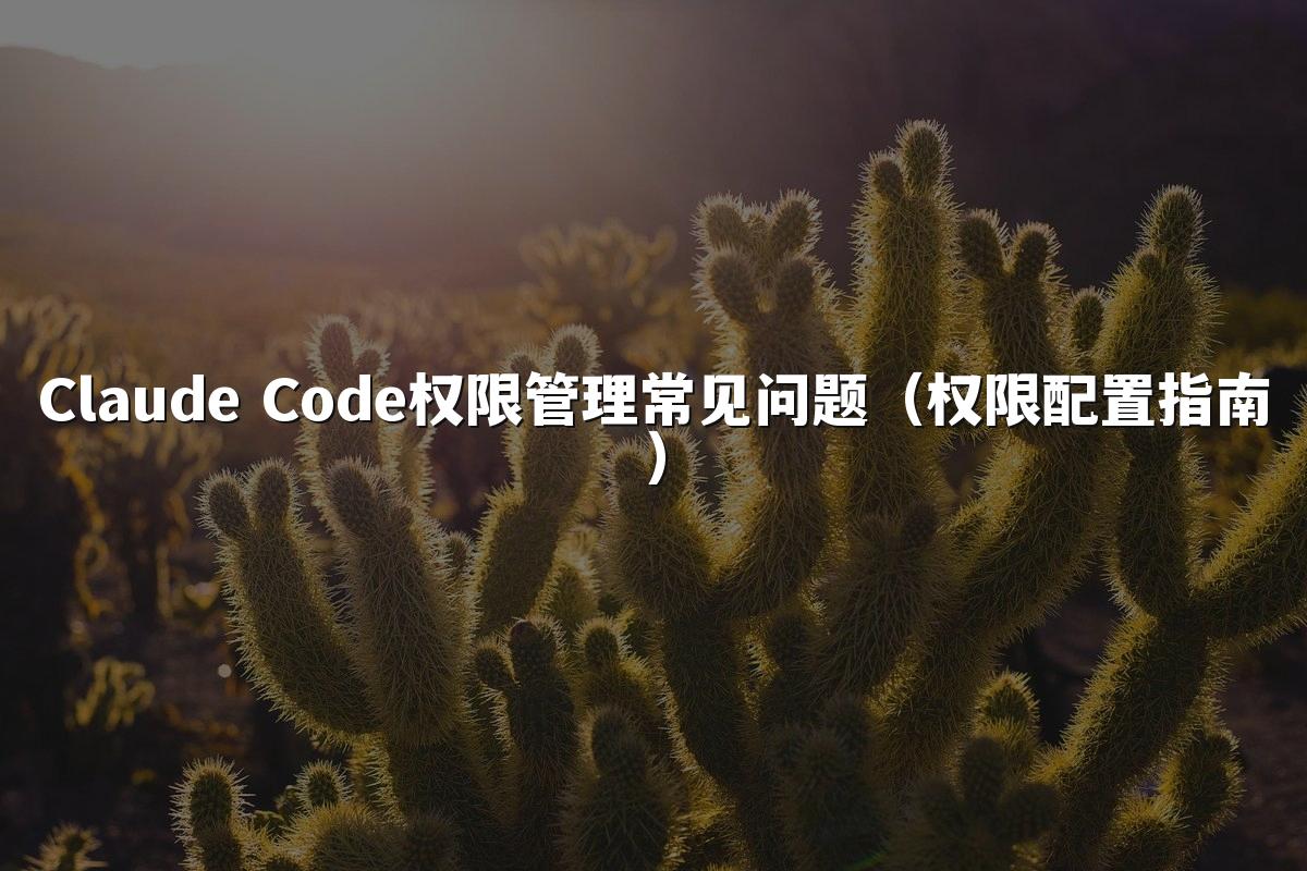 Claude Code权限管理常见问题（权限配置指南）