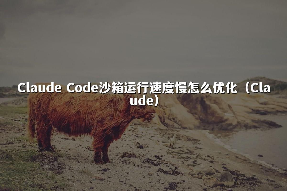 Claude Code沙箱运行速度慢怎么优化(Claude)