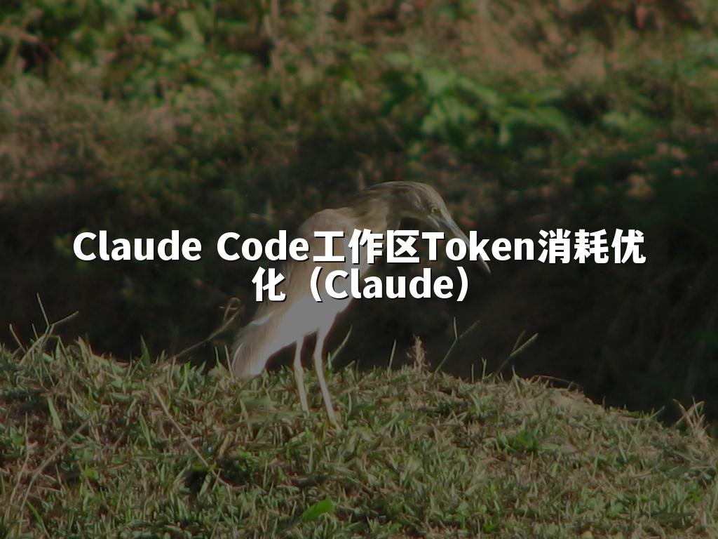 Claude Code工作区Token消耗优化（Claude）