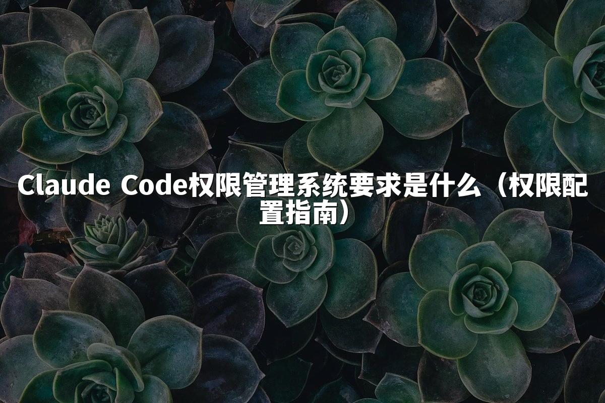 Claude Code权限管理系统要求是什么（权限配置指南）