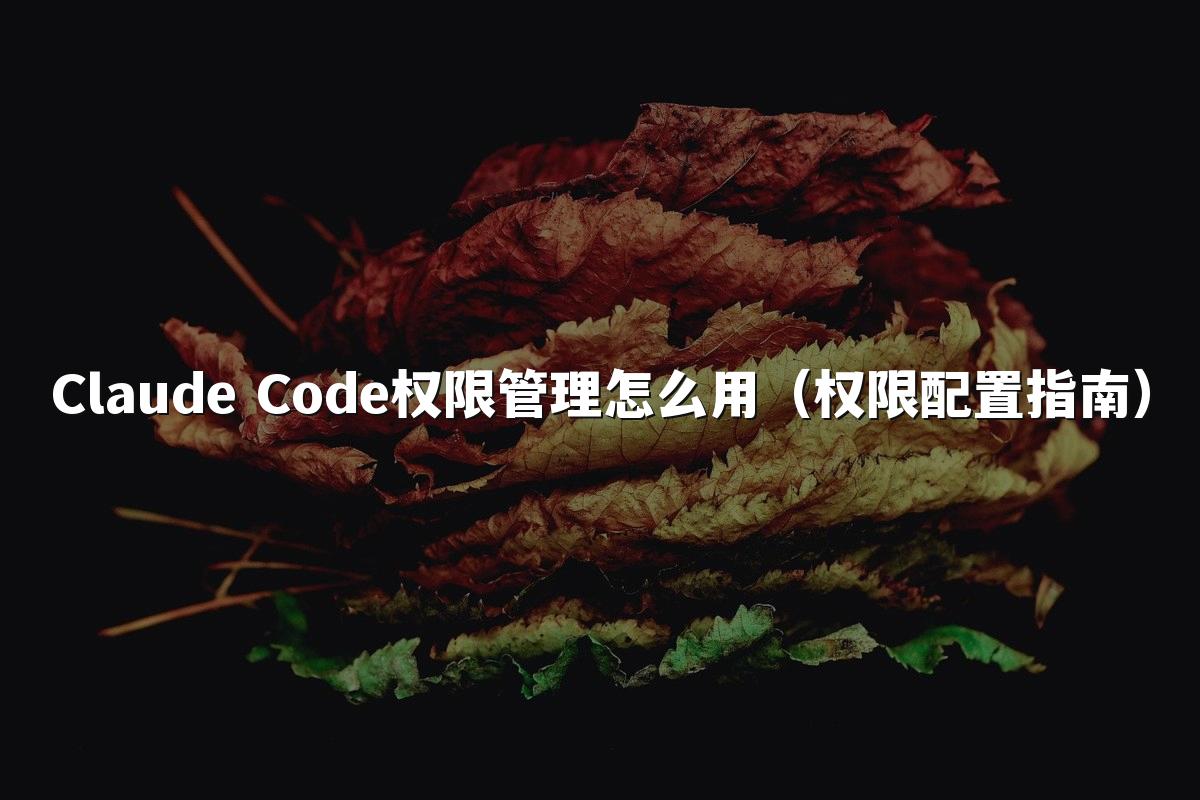 Claude Code权限管理怎么用（权限配置指南）
