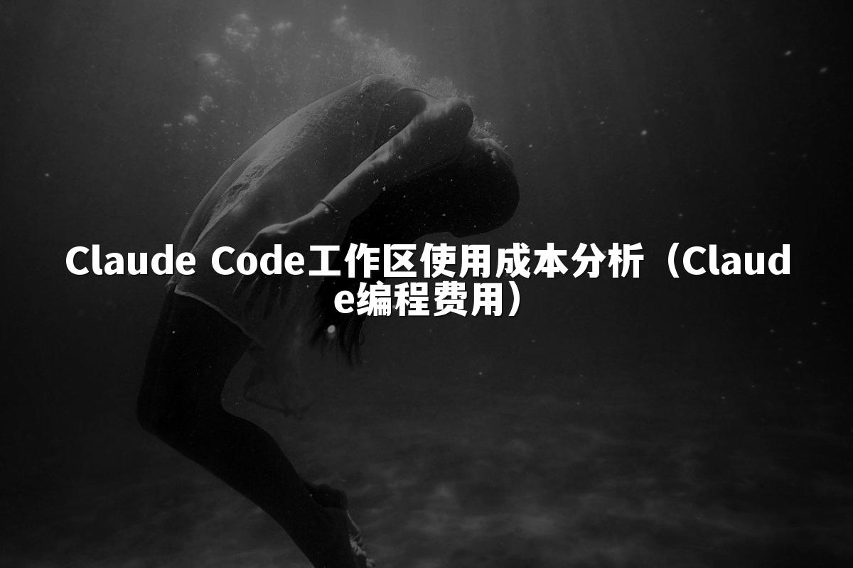 Claude Code工作区使用成本分析（Claude编程费用）