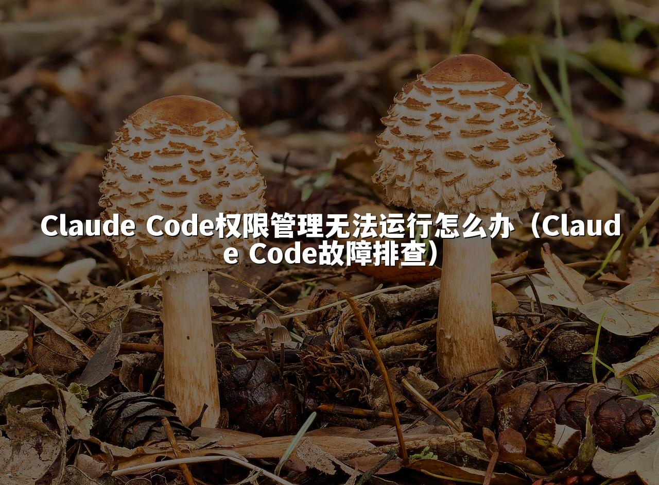 Claude Code权限管理无法运行怎么办（Claude Code故障排查）