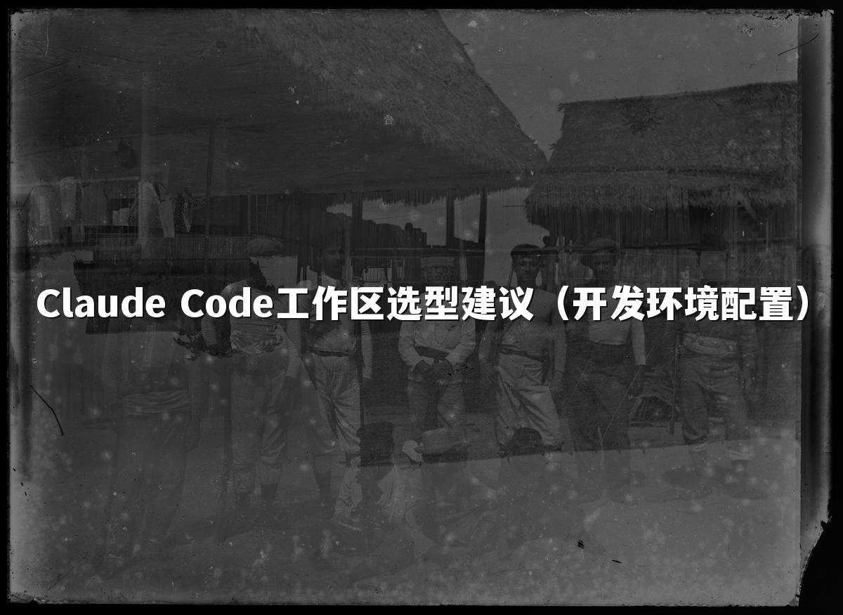Claude Code工作区选型建议（开发环境配置）