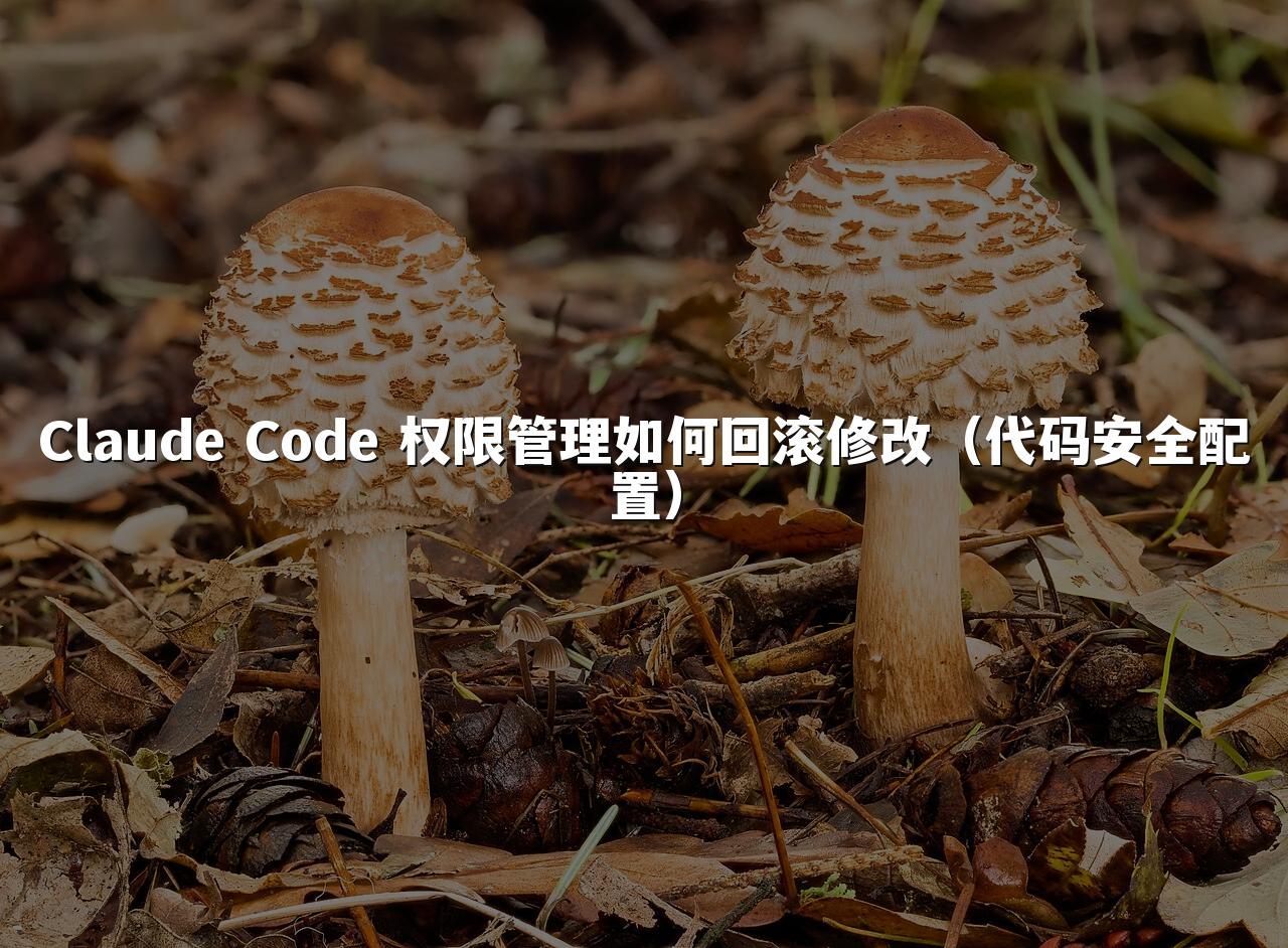 Claude Code 权限管理如何回滚修改（代码安全配置）