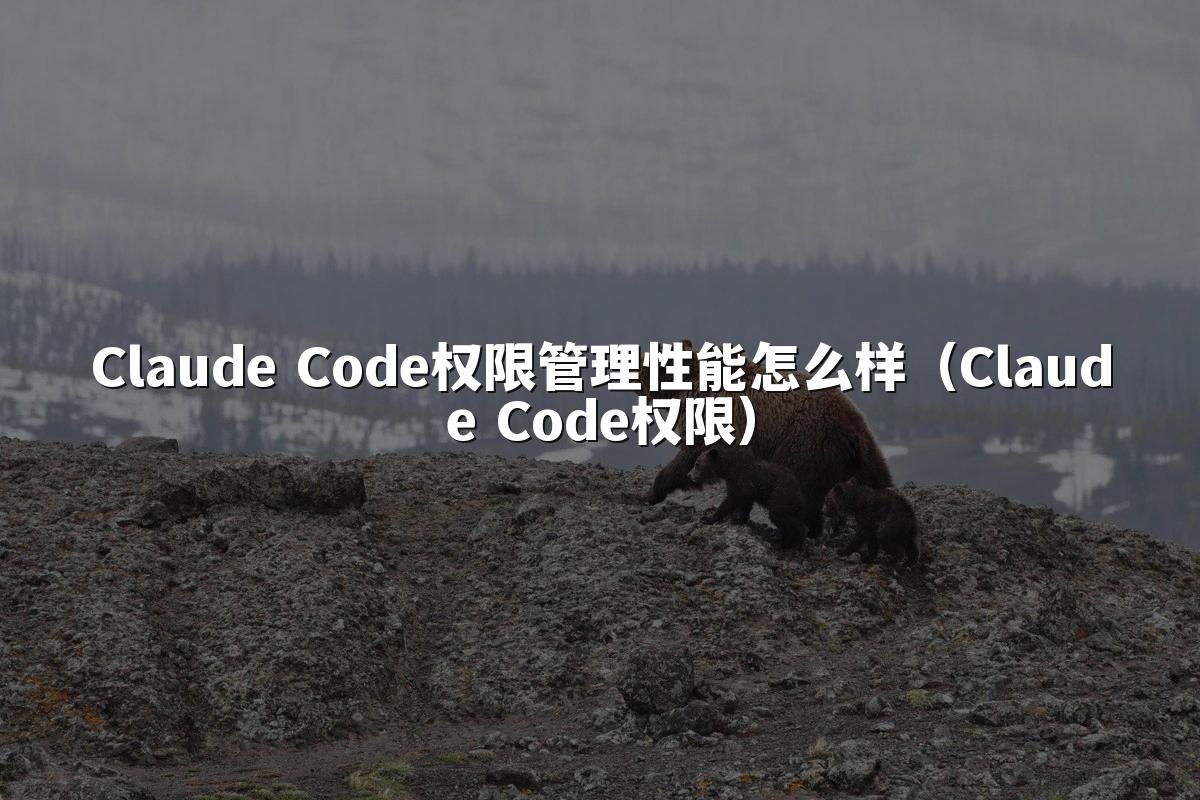 Claude Code权限管理性能怎么样（Claude Code权限）