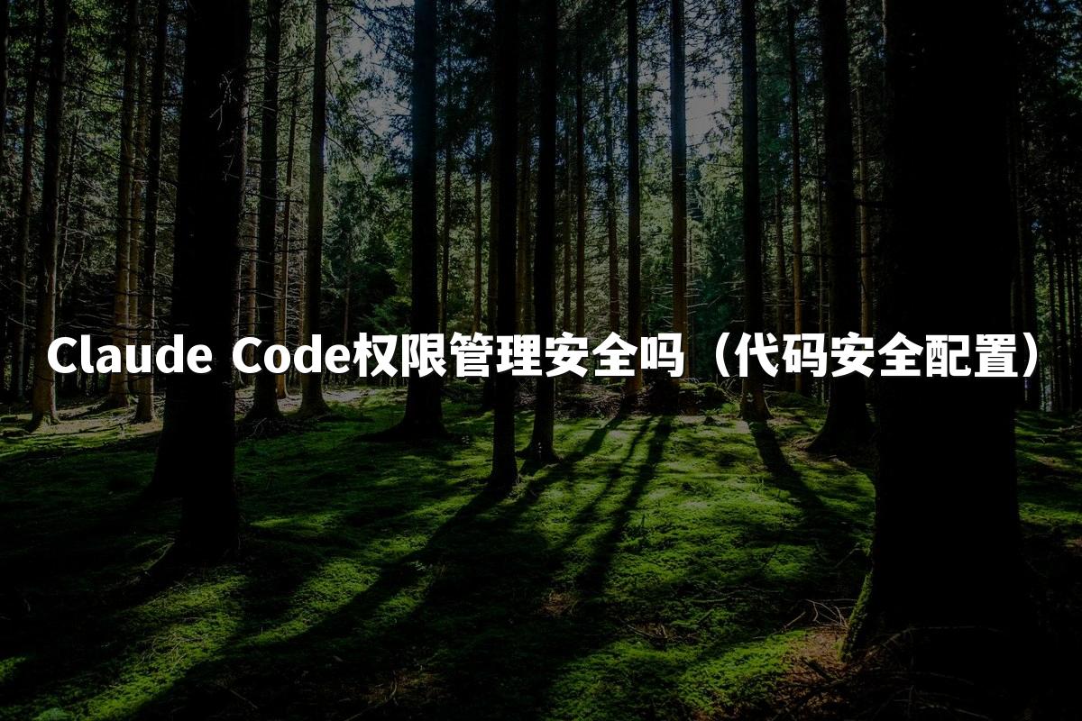 Claude Code权限管理安全吗（代码安全配置）
