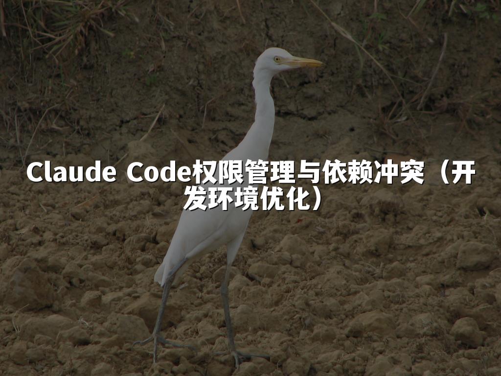 Claude Code权限管理与依赖冲突（开发环境优化）
