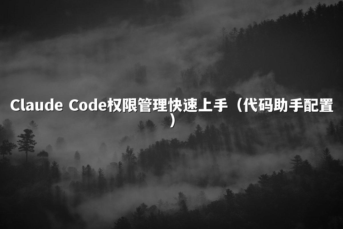 Claude Code权限管理快速上手（代码助手配置）