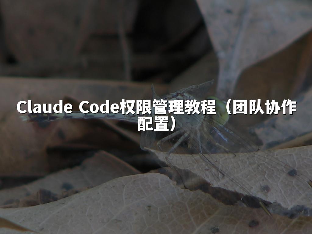 Claude Code权限管理教程（团队协作配置）