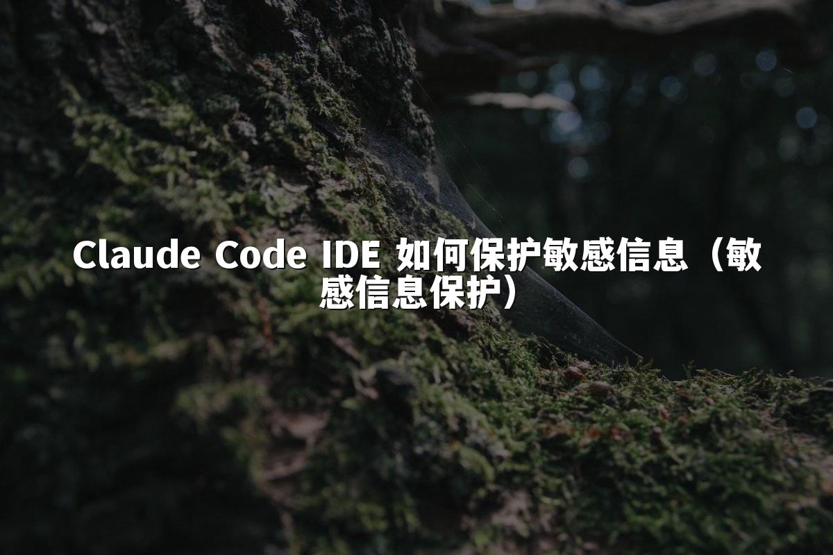 Claude Code IDE 如何保护敏感信息(敏感信息保护)