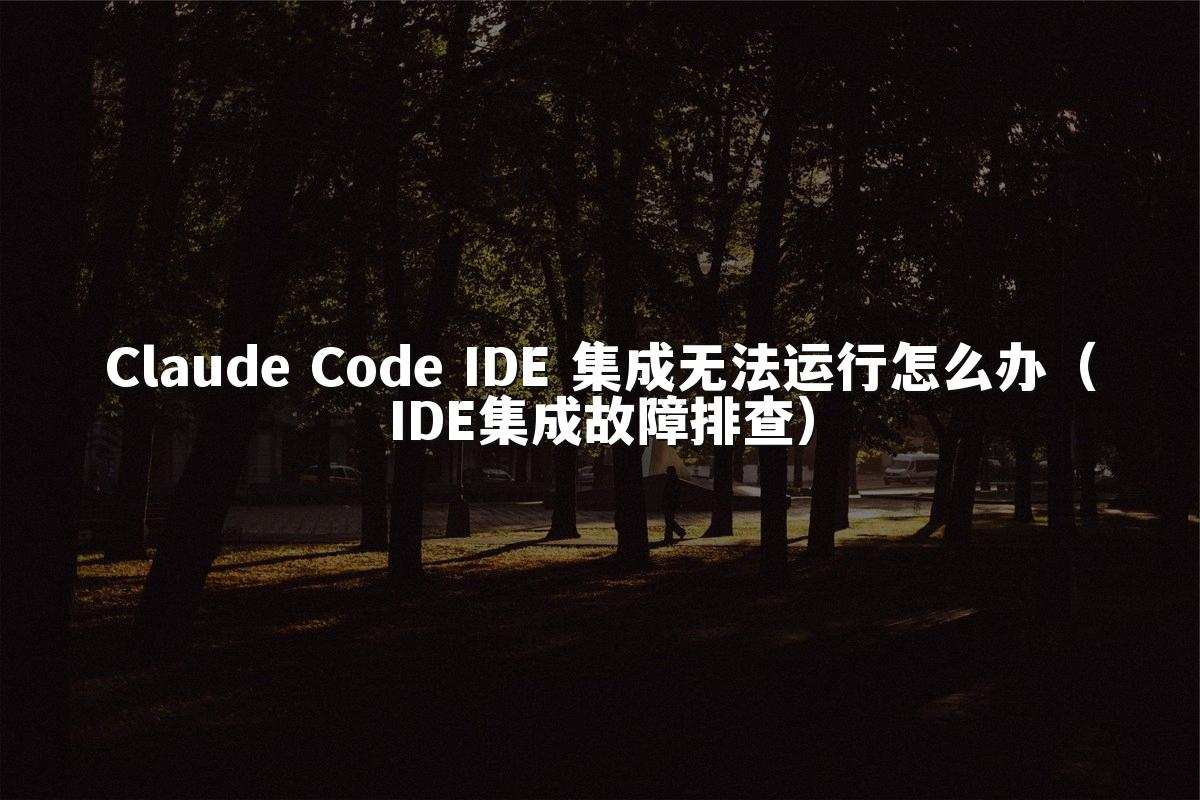 Claude Code IDE 集成无法运行怎么办（IDE集成故障排查）