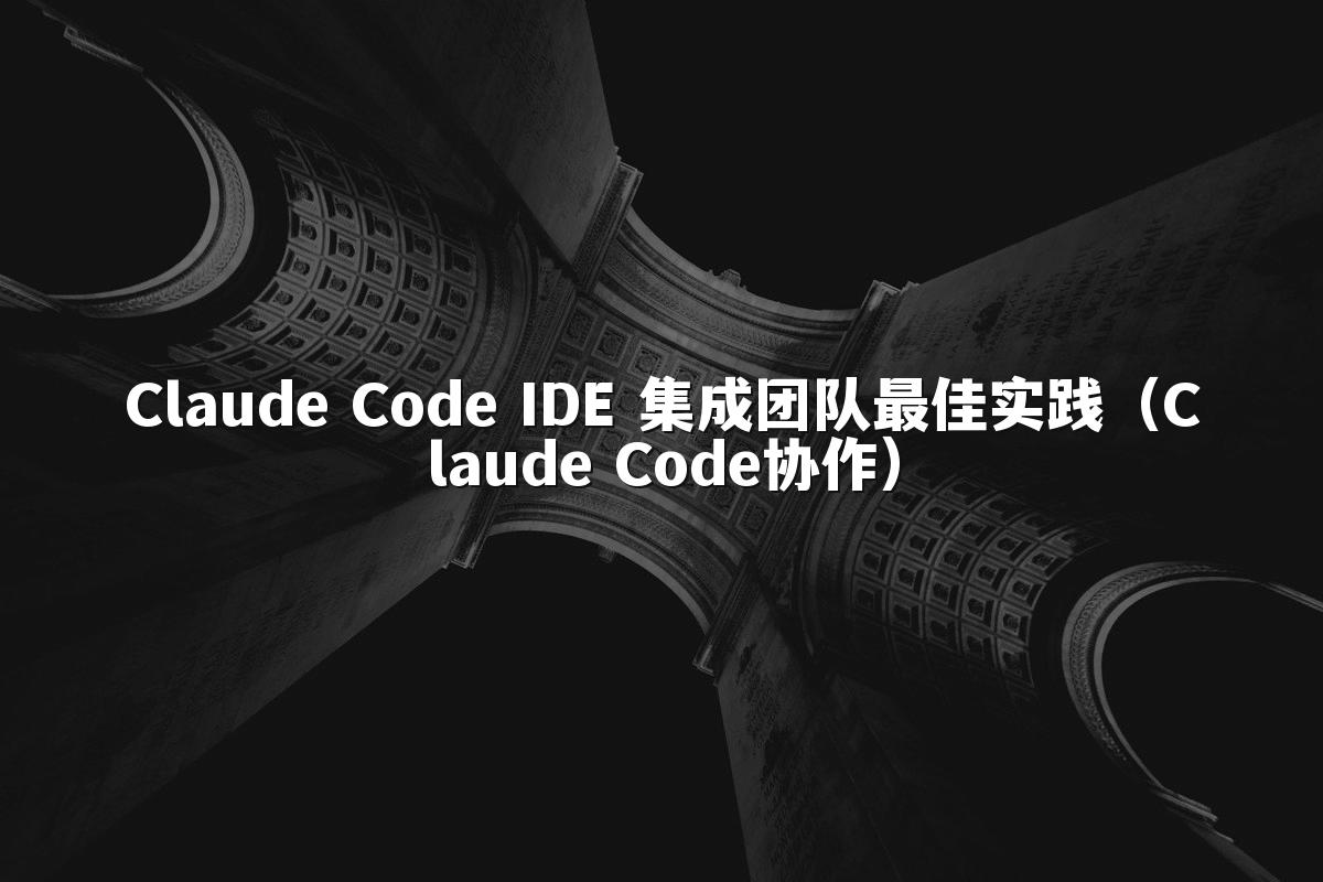 Claude Code IDE 集成团队最佳实践(Claude Code协作)