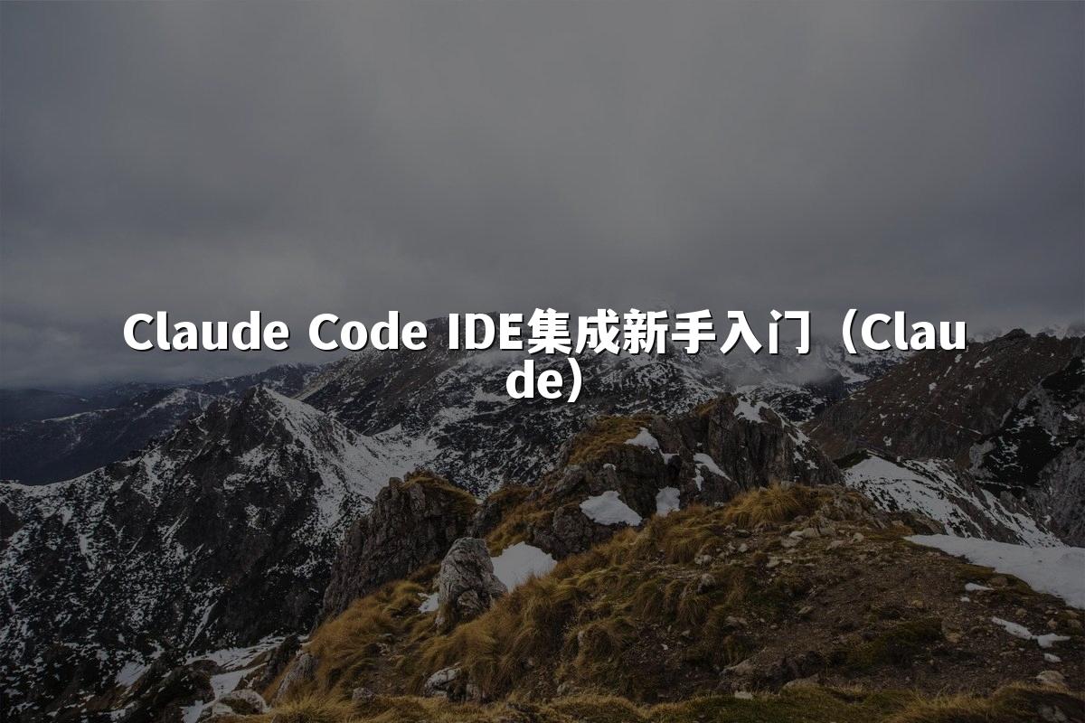 Claude Code IDE集成新手入门（Claude）