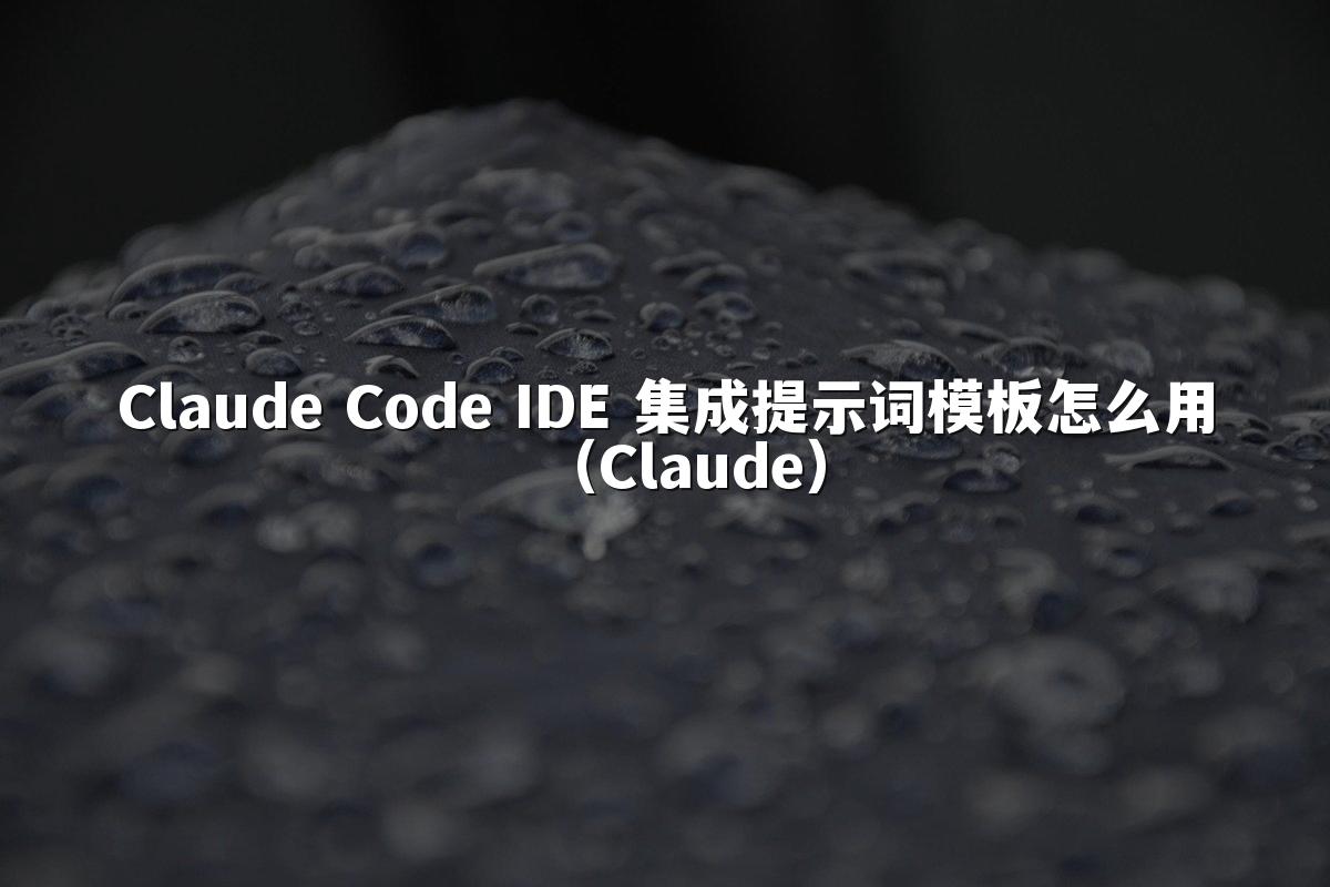 Claude Code IDE 集成提示词模板怎么用(Claude)