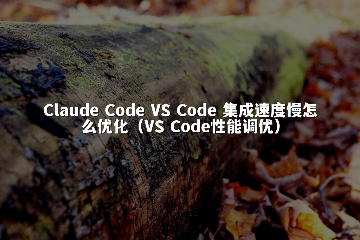 Claude Code VS Code 集成速度慢怎么优化（VS Code性能调优）