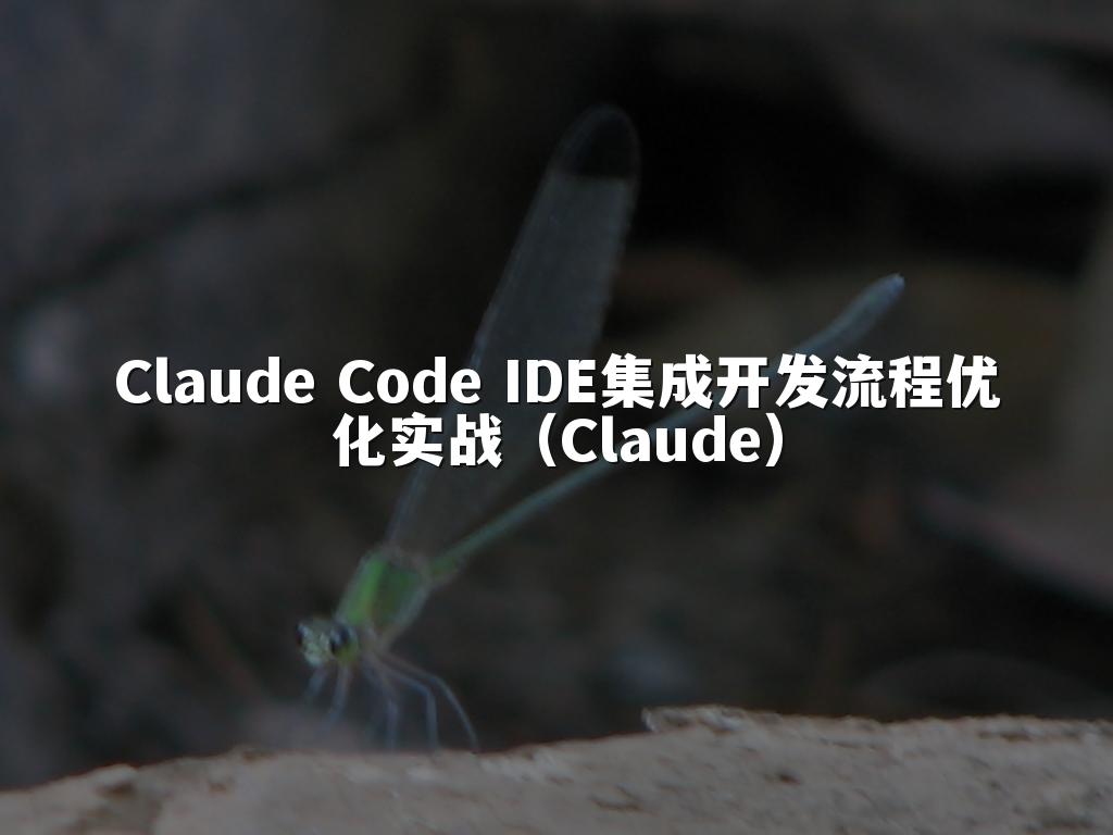 Claude Code IDE集成开发流程优化实战（Claude）