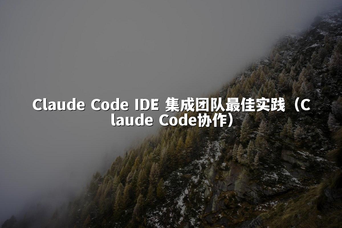 Claude Code IDE 集成团队最佳实践(Claude Code协作)