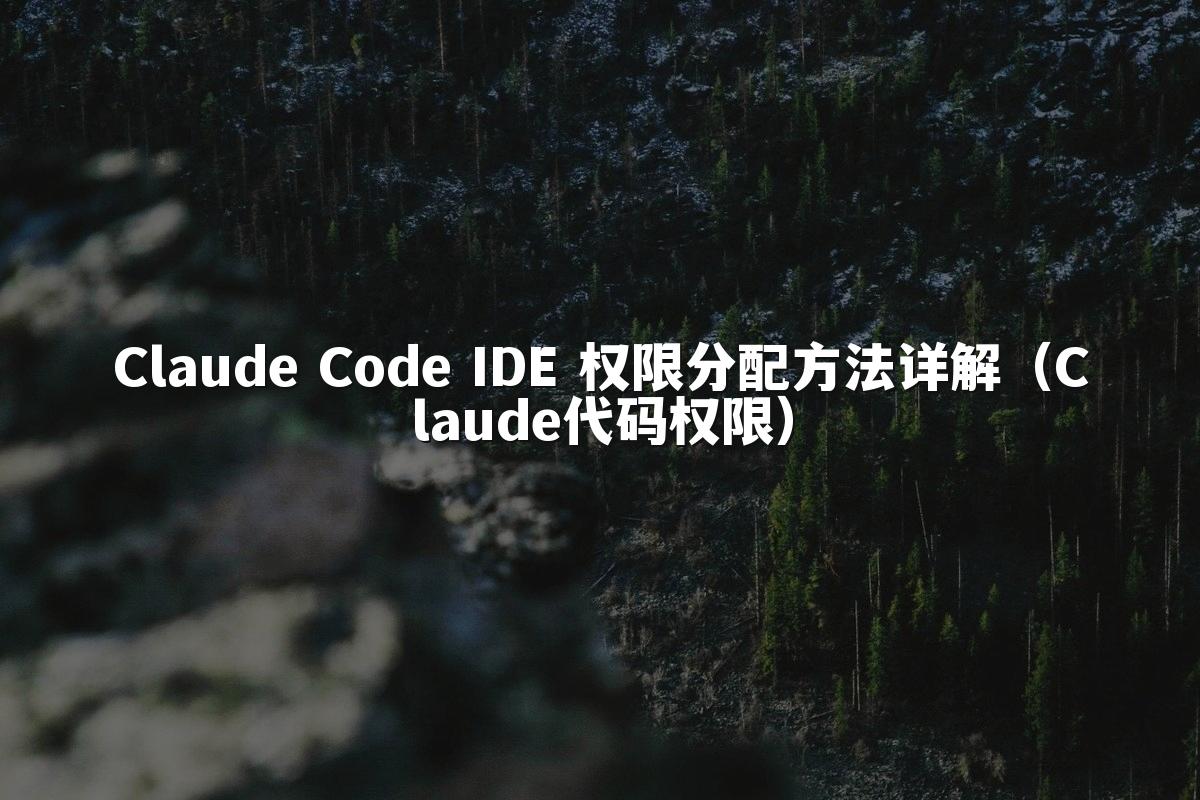 Claude Code IDE 权限分配方法详解（Claude代码权限）